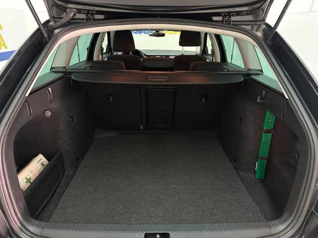 SKODA Octavia usata, con Luce d