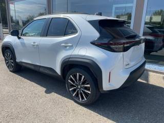 TOYOTA Yaris Cross usata, con Fendinebbia