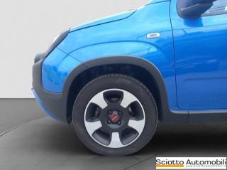 FIAT Panda usata 18