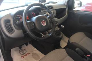 FIAT Panda usata, con Controllo trazione