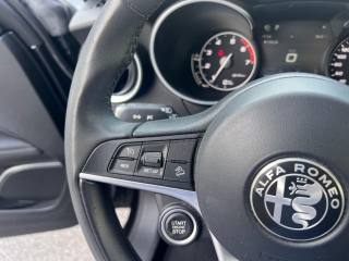 ALFA ROMEO Stelvio usata, con Interni in pelle