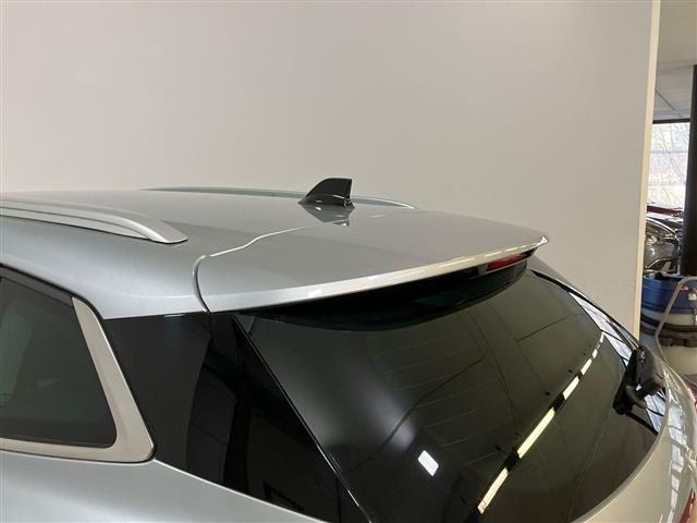 RENAULT Megane usata 29