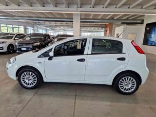 FIAT Punto usata, con Chiusura centralizzata
