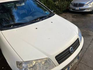 FIAT Punto usata 1