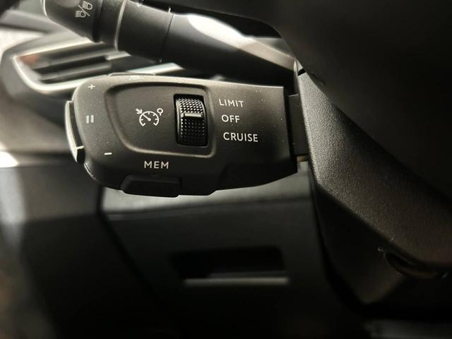 PEUGEOT 3008 usata, con Servosterzo