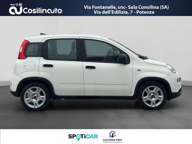 FIAT Panda usata, con Antifurto