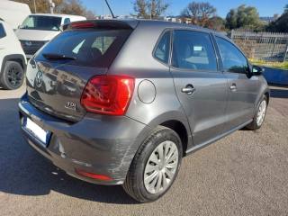 VOLKSWAGEN Polo usata 5