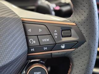 CUPRA Terramar usata, con USB