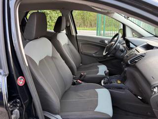 FORD EcoSport usata, con Fendinebbia