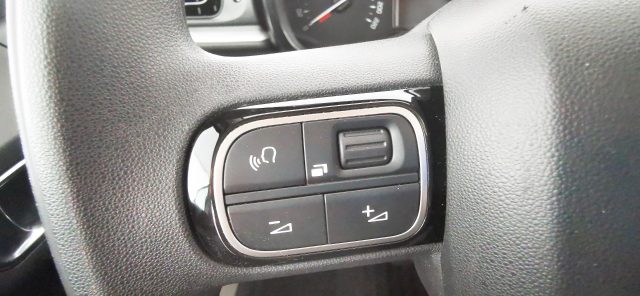 CITROEN C3 usata 48