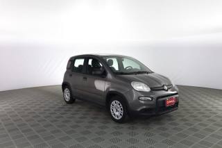 FIAT Panda usata 1