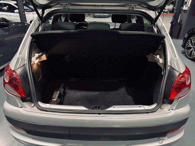 PEUGEOT 206 usata 13