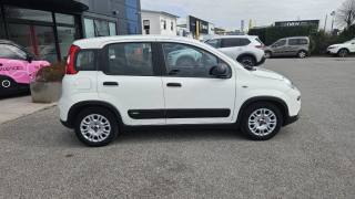 FIAT Panda usata, con Airbag Passeggero