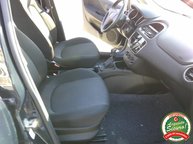 FIAT Punto usata 12