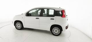 FIAT Panda usata 27
