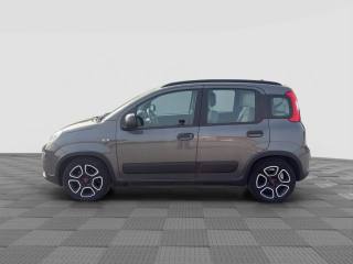 FIAT Panda usata 2