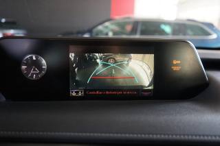 LEXUS UX 250h usata, con Immobilizzatore elettronico