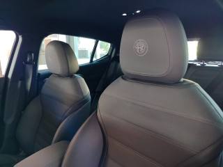 ALFA ROMEO Tonale usata, con Airbag testa