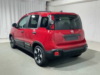 FIAT Panda usata, con Airbag Passeggero