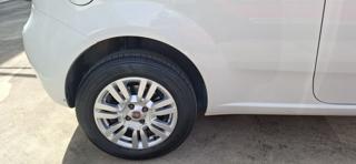 FIAT Punto usata 16
