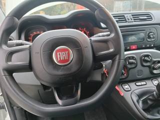 FIAT Panda usata, con Servosterzo
