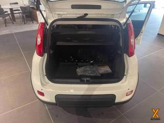 FIAT Panda usata, con Controllo trazione