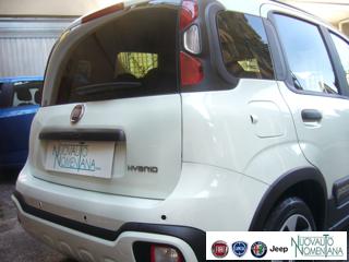 FIAT Panda Cross usata, con Controllo trazione
