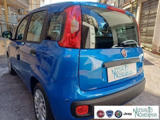 FIAT Panda usata, con Cruise Control