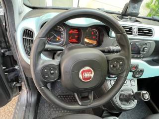 FIAT Panda usata 19
