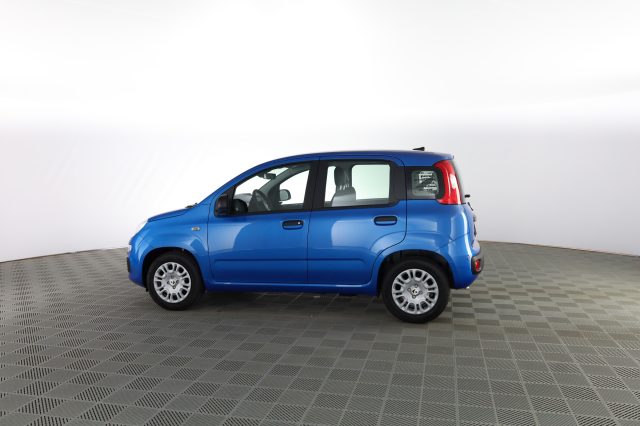 FIAT Panda usata 5