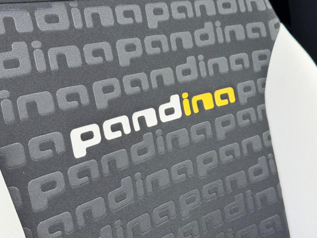 FIAT Panda Cross usata, con Autoradio digitale