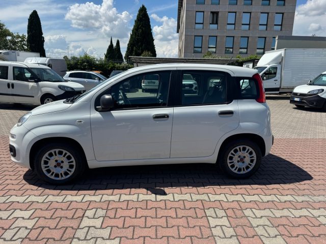 FIAT New Panda usata, con Airbag Passeggero