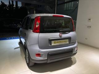 FIAT Panda usata, con Antifurto