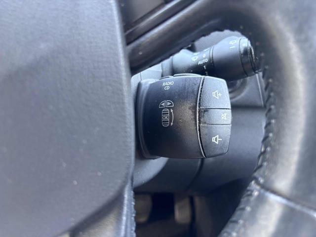 RENAULT Scenic usata, con Controllo trazione