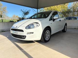 FIAT Punto 1.2 8V 5 porte Lounge  EURO 6 TENUTA BENE