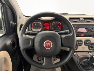 FIAT Panda usata, con Controllo trazione