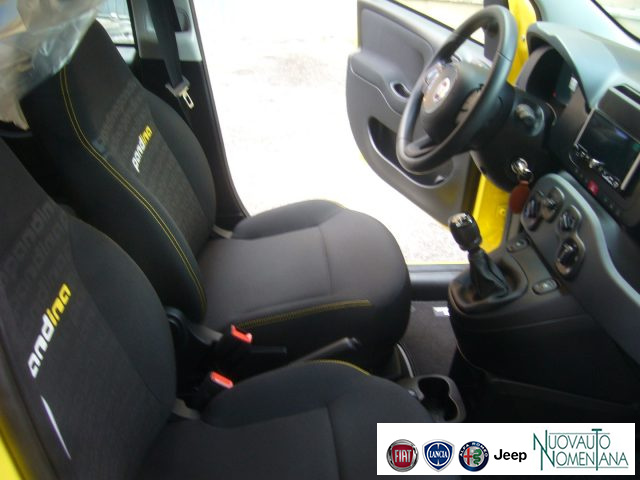 FIAT Panda usata, con Airbag testa