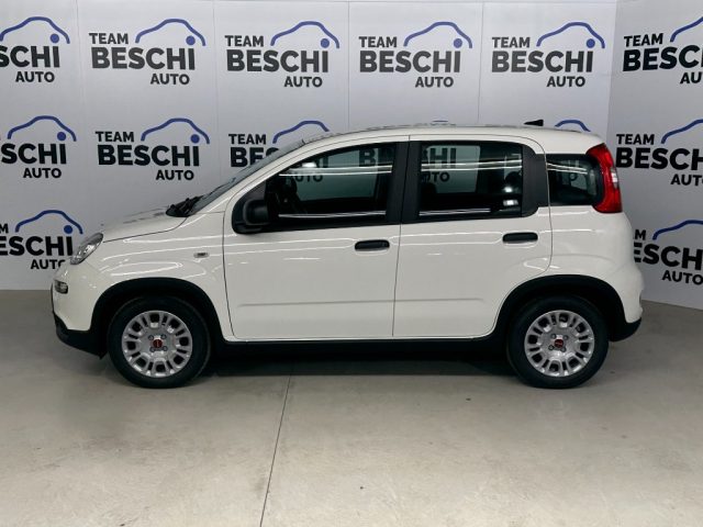 FIAT Panda usata, con Airbag Passeggero