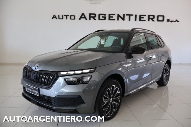 SKODA Kamiq usata, con ABS