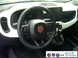 FIAT Pandina usata, con Vetri oscurati