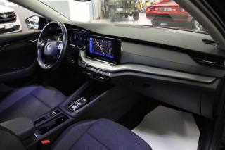 SKODA Octavia usata, con Climatizzatore