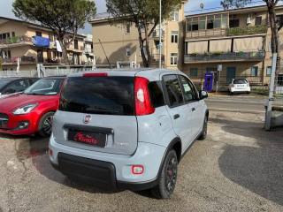 FIAT Panda usata, con Chiusura centralizzata