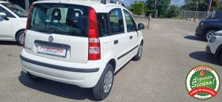 FIAT Panda usata, con Autoradio