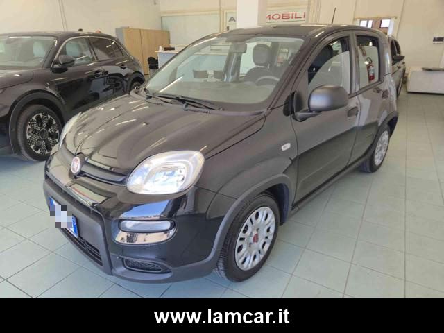 FIAT Panda usata, con Antifurto