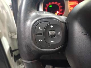 FIAT Panda Cross usata, con Fendinebbia