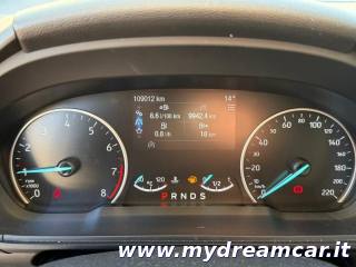 FORD EcoSport usata, con Controllo trazione