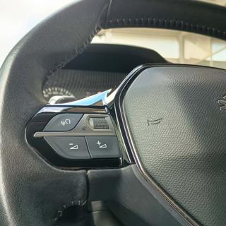 PEUGEOT 2008 usata, con Climatizzatore