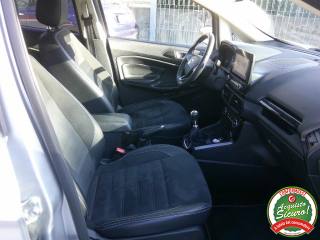 FORD EcoSport usata, con Interni in pelle
