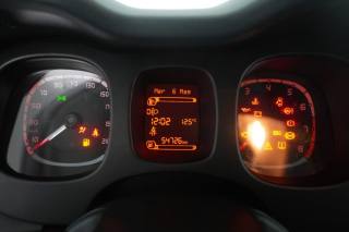 FIAT Panda usata 12
