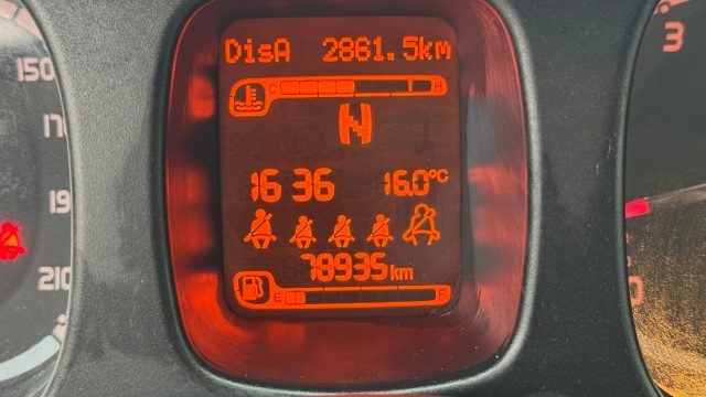 FIAT New Panda usata 15